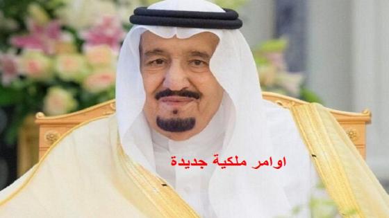 يوم العلم امر ملكي تعرف على نصوص الامر الملكي بتحديد موعد يوم العلم السعودي