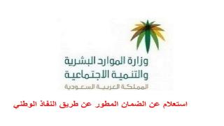 استعلام عن الضمان المطور عن طريق النفاذ الوطني