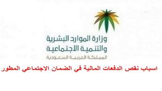 الموارد البشرية توضح اسباب نقص الدفعات المالية في الضمان الاجتماعي المطور