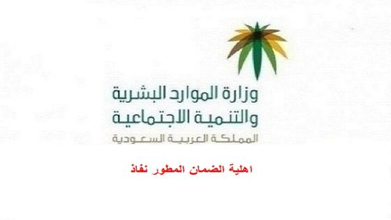 اهلية الضمان المطور نفاذ