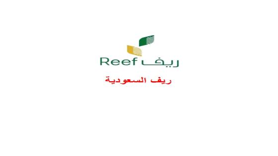 ريف لدعم المزارعين يوضح هل يمكن الحصول على قرض نقدي من الدعم الريفي