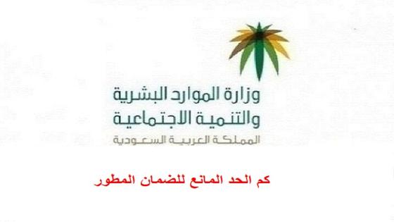 كم الحد المانع للضمان المطور الجديد