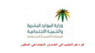 كم دعم الحليب في الضمان الاجتماعي المطور