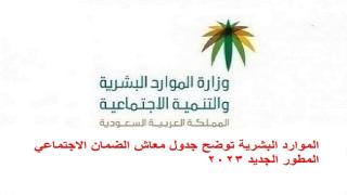 وزارة الموارد البشرية الاستعلام عن الضمان المطور نفاذ